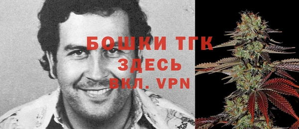 spice Абаза