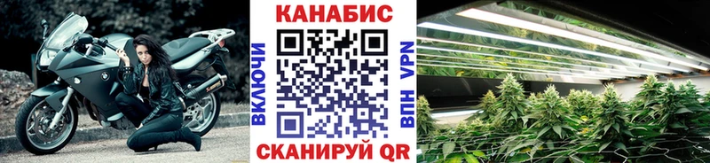 Шишки марихуана сатива  Торопец 